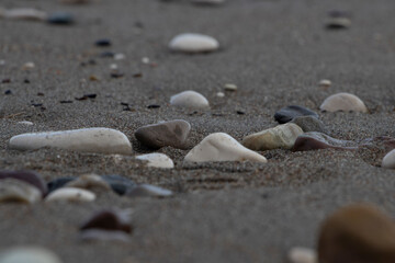 Fototapeta na wymiar stones on the sand beach and shallow depth of field