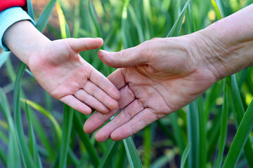 The outstretched palms of a grandmother and granddaughter on a natural green background.
