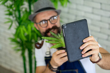 Caucasian senior man work from home gardening green plant 