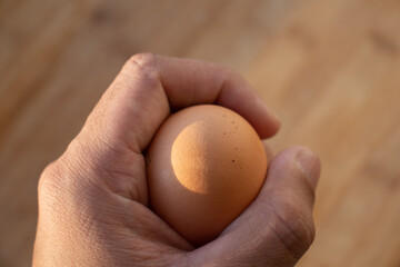 Woman's hands 'holding' an egg. Little desaturated in brown colour. Chicken egg in hand. Chicken yellow egg in hand