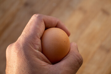 Woman's hands 'holding' an egg. Little desaturated in brown colour. Chicken egg in hand. Chicken yellow egg in hand