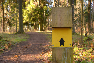 Direction indicator in the forest. A traffic sign on a yellow background on a path, road in a park or forest. Way. Arrow