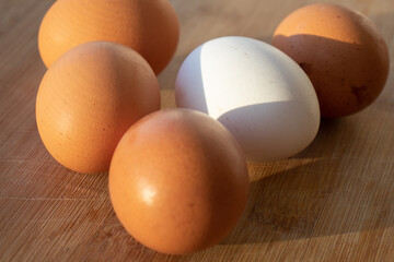 fresh eggs. Chicken eggs on the table. White chicken egg among the yellow ones