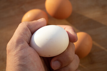 Woman's hands 'holding' an egg. Little desaturated in brown colour. Chicken egg in hand. Chicken white egg in hand