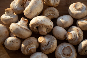 Fresh healthy brown mushrooms with very shallow depth of field. Mushrooms and champignons on the table. Mushrooms on the table top view