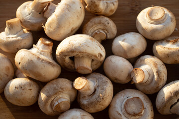 Fresh healthy brown mushrooms with very shallow depth of field. Mushrooms and champignons on the table. Mushrooms on the table top view