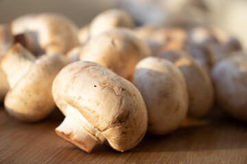 Fresh healthy brown mushrooms with very shallow depth of field. Mushrooms and champignons on the table. Mushrooms on the table top view