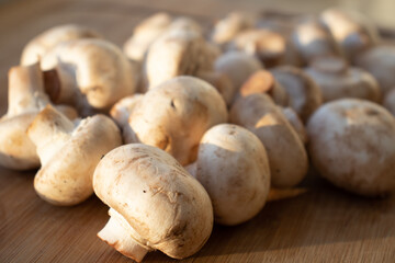 Fresh healthy brown mushrooms with very shallow depth of field. Mushrooms and champignons on the table. Mushrooms on the table top view