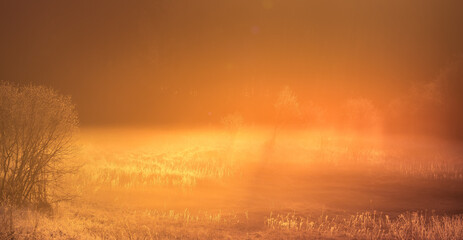 A beautiful diffused light during the spring sunrise. Trees in spring with warm sun light in morning. Rural springtime scenery of Northern Europe.