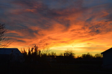sunset over the field