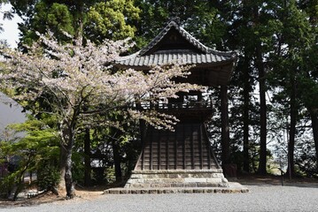 Fototapeta premium A scene of the precincts of a Japanese temple,'Honkoji temple' in Kosai City, Shizuoka Prefecture.