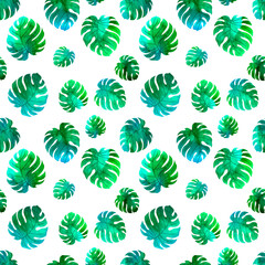 Monstera blue green  leaves watercolor seamless pattern on white