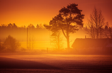 Fototapeta na wymiar A beautiful spring landscape with rising sun through the mist. Sun shining over misty rural landscape. Springtime scenery of Northern Europe with sunrise.