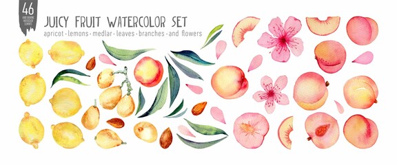 Watercolor fruit set isolation on white. Peaches, medlar and lemons handdrawn fresh fruts, leaves and flowers. Colorfull bright summer set for design textile, wallpapers, print and banners.