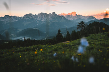 View from the top of the mountain valley, flowers and grass in the foreground. Beautiful mountain landscape. High-mountain massif.