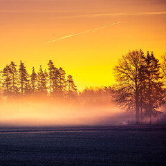 A beautiful spring landscape with rising sun through the mist. Sun shining over misty rural landscape. Springtime scenery of Northern Europe with sunrise.
