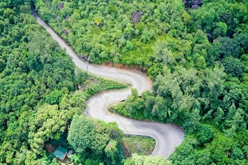 Road winding through nature Seychelles.