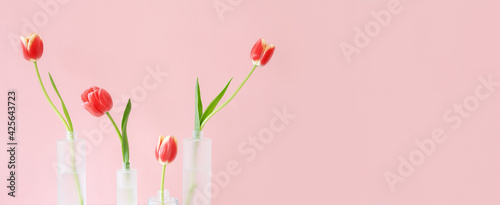 Red tulips in mate glass vases on pink background. Simple home decor idea with bud vases. On trend floral arrangements. Template for Easter, springtime, women's day, mother's day.
