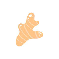 Fresh ginger root on white background. Vector illustration