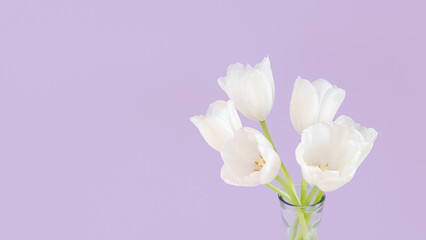Fototapeta na wymiar White tulips in vase on violet background. Simple home decor idea with bud vases. On trend floral arrangements. Template for Easter, springtime, women's day, mother's day.