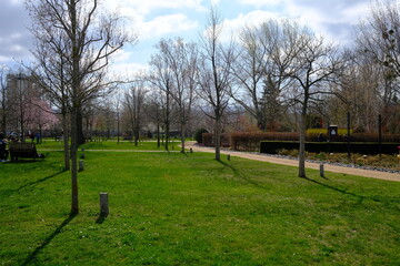 Obraz na płótnie Canvas Grünflächen in einer Parkanlage in Wernigerode