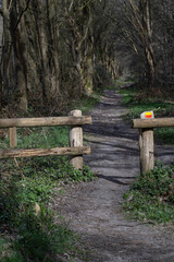 Wooden gate entrance to forest path. Rheebruggen Uffelte Drenthe Netherlands.