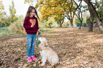 Cute little girl training her dog outside. Child walking with cocker spaniel in the park on warm autumn day. Pets and kids companionship concept