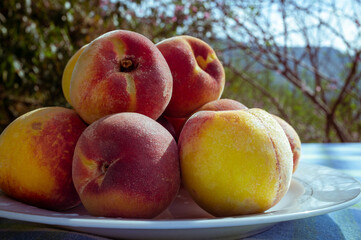 Delicious and flavorful fresh peaches on a white plate on a table with blue tablecloth outdoors