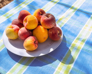 Delicious and flavorful fresh peaches on a white plate on a table with blue tablecloth outdoors