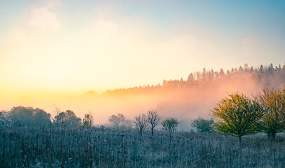 A beautiful misty morning in the river valley. A springtime sunrise with fog at the banks of the river over trees. Spring landscape in Northern Europe with mist and trees.