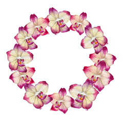 Fototapeta na wymiar Tropical wreath made of watercolor orchid flowers isolated on white