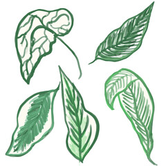 set of hand painting digital foliage leaves in waterclor bold artsy style
