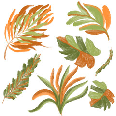 set of hand painting digital foliage leaves in waterclor bold artsy style