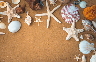 Fototapeta na wymiar Seashells and starfish frame the sandy beach backdrop. Top view, horizontal with space to copy.