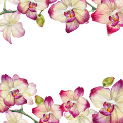 Obraz na płótnie Canvas Frame of pink flowers. Watercolor orchids