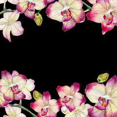 Obraz na płótnie Canvas Pink orchid frame. Watercolor illustration