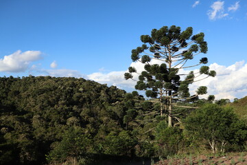 Fototapeta na wymiar Serra da Mantiqueira, Minas Gerais, Landscape
