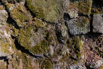 Weathered basalt boulder rock wall in gray black anthracite colors covered with moss and lichen, overgrown with moss, grouted with cement, grout. Texture without vignetting