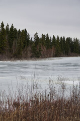 Astotin Lake in Early Spring