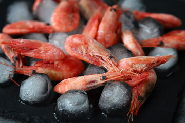 Fresh shrimps on ice. Shrimp in shells.