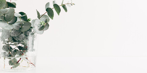 Green eucalyptus leaves in vase on white table. Front view. Place for text, copy space, mockup © prime1001