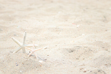 Starfish on sand beach, tropical summer beach background for relaxing vacation