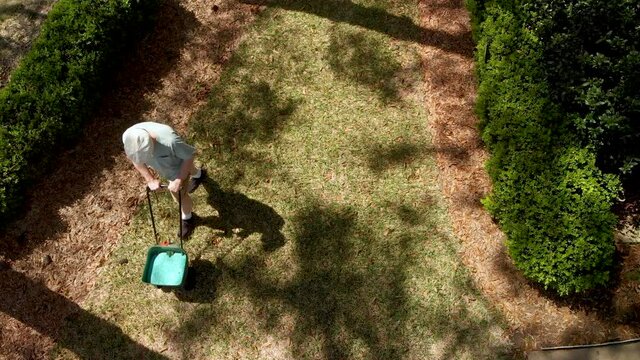 An overhead view of a homeowner spreading fertilizer on his lawn with a small push spreader.
