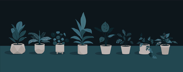 Blue Pot Plants