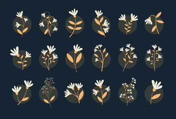 Yellow And White Flower Set