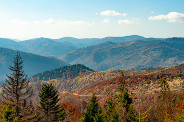 Nature Carpathians Ukraine mountain wilderness landscape, panorama hills mountain range covered forest, blue sky with white clouds