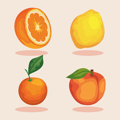 tropical four fruits