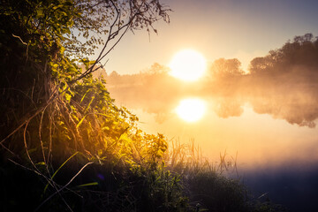 A beautiful spring sunrise scenery with plants growing on the banks of river. Springtime landscape with mist and local flora. Morning view at the river in Northern Europe.
