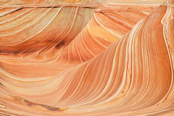 Obraz premium The Wave In Utah