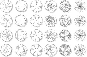 vector set of top view tree isolated on white background
